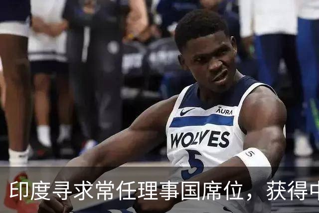 印度寻求常任理事国席位，获得中欧四国支持与俄罗斯表态